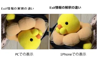 比較画像